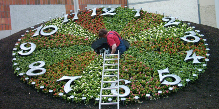 Erkner Blumenuhr 3 768x384